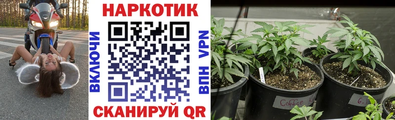 Сколько стоит Семикаракорск Каннабис  МЕФ  КОКАИН  СОЛЬ  ГАШ 