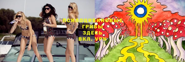 бошки Баксан