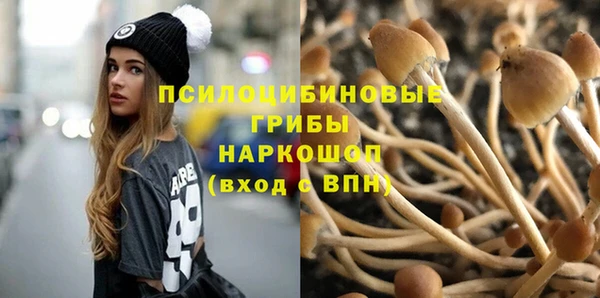бошки Балахна
