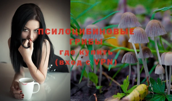бошки Баксан
