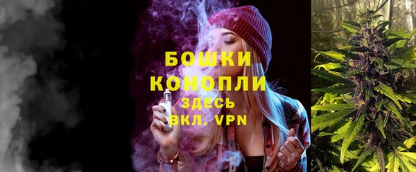 PSILOCYBIN Осинники