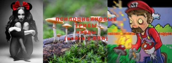 бошки Балахна