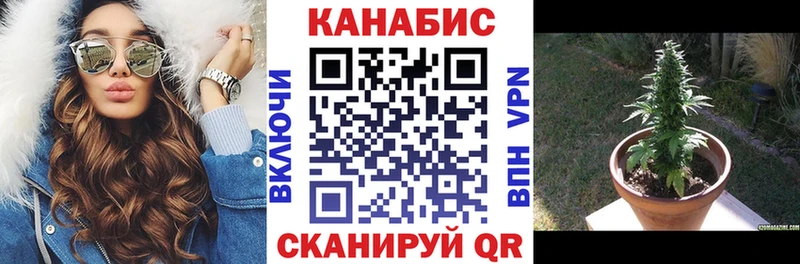 цены   Семикаракорск  Канабис план 